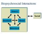 Biopsychosocial Model The biopsychosocial (BPS) model of health care recognizes that health
