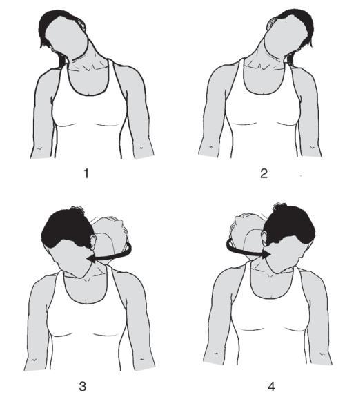 1. Head Rolls Cervical spine muscles, trapezius You