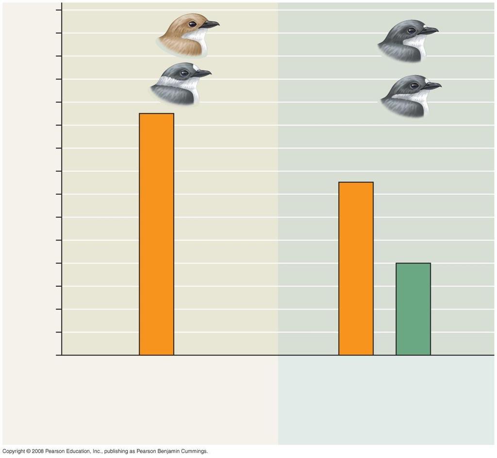 Fig. 24-15b Number of females 28 Pied flycatchers 24 20 Collared flycatchers 16 12 8 4 (none) 0 Females