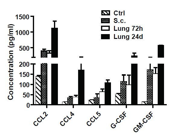 Chemokine ligands for CCR1, CCR2 and CCR5 secreted by tumour cells / present in blood Secretion profile of B16F10 cells Chemokine
