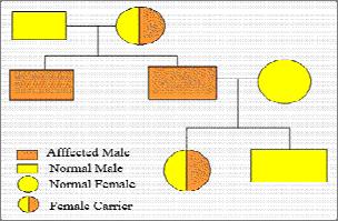 Genetics - Problem Drill 06: Pedigree and Sex Determination No. 1 of 10 1. The following is a pedigree of a human trait. Determine which trait this is.