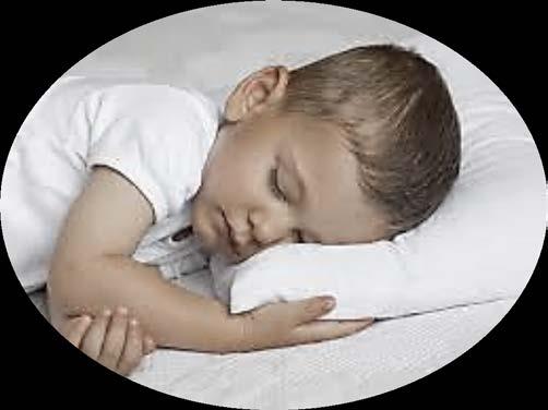 sleep has important physiological functions sleep has been postulated