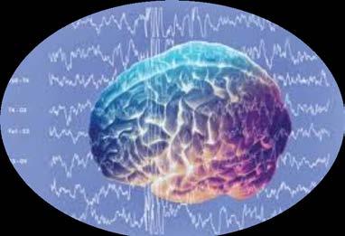 brain waves electrical recordings from the surface of the brain or even from the outer surface of the head demonstrate that there is continuous electrical activity in the brain both the intensity and
