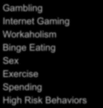 Process Addictions Gambling Internet Gaming