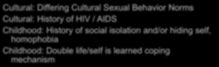 Challenges Specific to Gay Male Sex Addicts Cultural: Differing Cultural Sexual Behavior Norms Cultural: History of HIV /