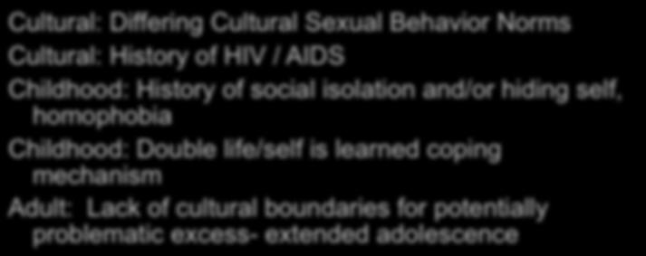 Challenges Specific to Gay Male Sex Addicts Cultural: Differing Cultural Sexual Behavior Norms Cultural: History of HIV / AIDS Childhood: History of social isolation