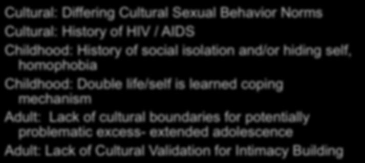 Challenges Specific to Gay Male Sex Addicts Cultural: Differing Cultural Sexual Behavior Norms Cultural: History of HIV / AIDS Childhood: History of social isolation and/or hiding self, homophobia
