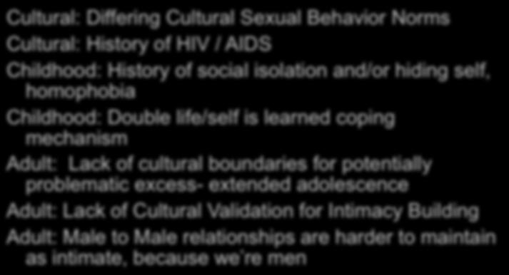 Challenges Specific to Gay Male Sex Addicts Cultural: Differing Cultural Sexual Behavior Norms Cultural: History of HIV / AIDS Childhood: History of social isolation and/or hiding self, homophobia