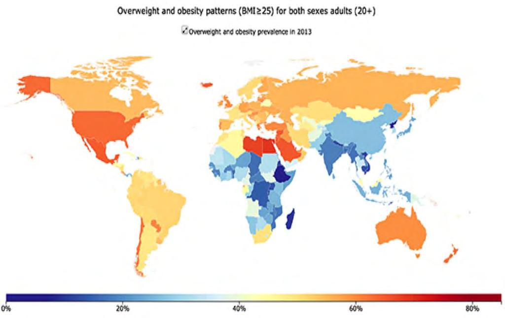 Overweight and Obesity Prevalence 2013