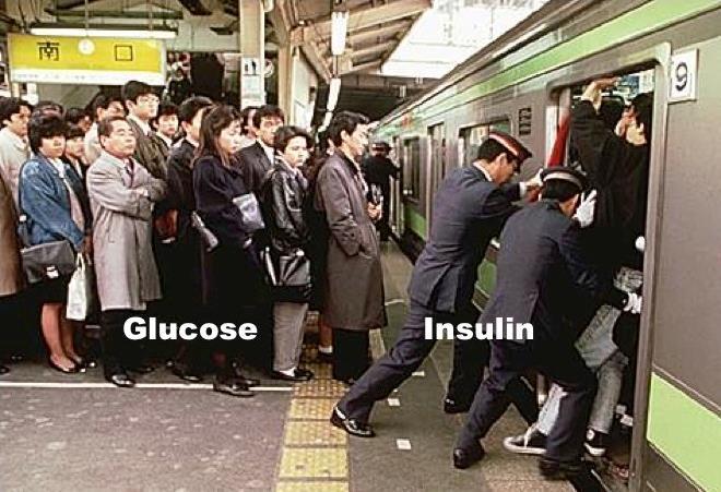 Insulin Resistance is