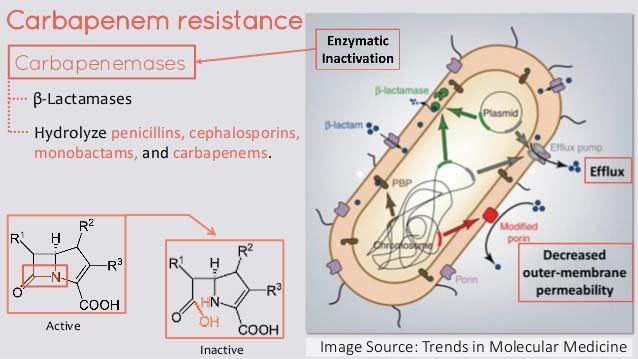 Now We Have Resistance to Carbapenems Carbapenem-Resistant Enterobacteriaceae (CRE) Result from multiple genetic changes in a bacteria that lead