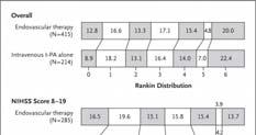 Adjusted Relative Risk for Predefined Subgroups, as Assessed According to the Primary Outcome of a Modified Rankin Score of 0 to 2 at 90 Days.