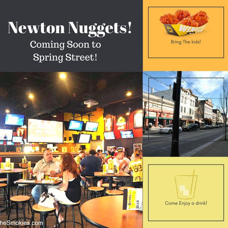 Newton Nuggets! Local non-chain theoretical business Inspired by Buffalo Wild Wings or similar Attracts: Current Residents, Families, College students, People from Surrounding Towns Why?