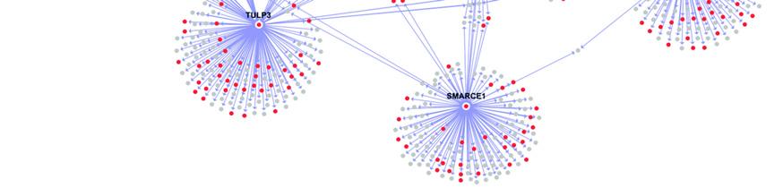 somatic mutations in cell growth related genes 4 Cancer Genes Network The detail in cancer