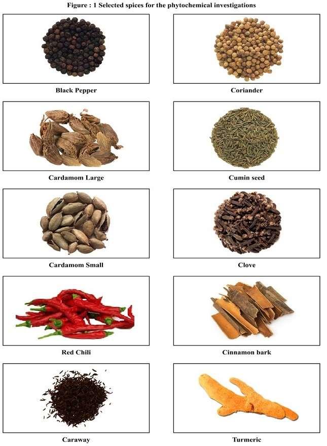 Figure: 1 Selected spices for the phytochemical investigations Black Pepper Coriander