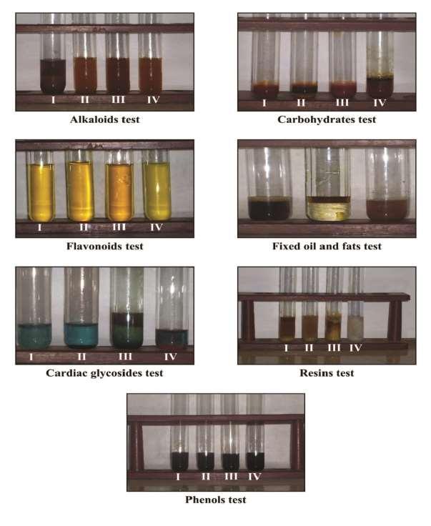 Figure: 2 Results of the phytochemical screening test I. Hexane extract, II. Ethanol extract, III. Chloroform extract, IV.