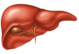 LIVER TESTS: HOW TO UTILIZE THEM I have no disclosures relevant to this presentation José Franco, MD Professor of Medicine, Surgery and Pediatrics Medical College of Wisconsin OBJECTIVES