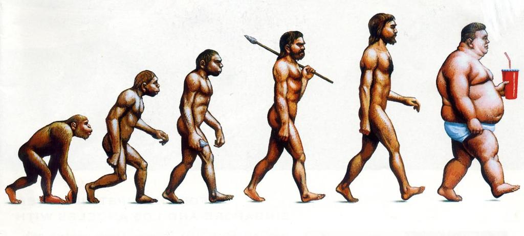 The Evolution of Man (and Woman) The