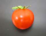 Comprehensive analysis of tomato metabolites