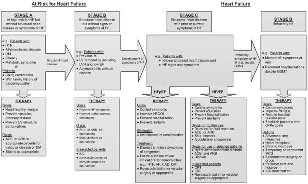 Classification of Heart Failure A B C D ACCF/AHA Stages of HF At high risk for HF but without structural heart disease or symptoms of HF. Structural heart disease but without signs or symptoms of HF.