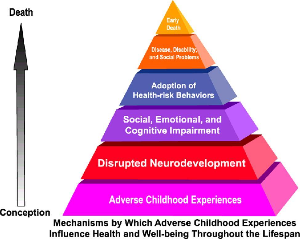 ADVERSE CHILDHOOD EXPERIENCES INFLUENCE ON HEALTH &