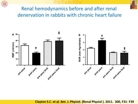 For example, here in this experiment the renal denervation of rabbits with chronic heart failure and as a cardiorenal syndrome also renal failure not only with heart failure but also with renal