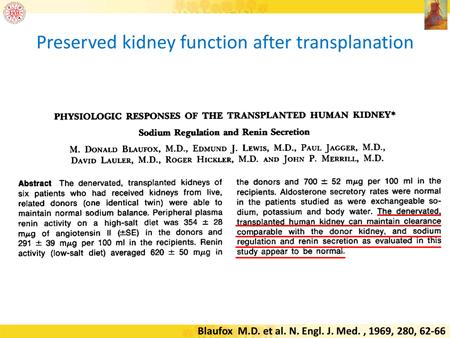 The transplanted kidney is denervated in fact.