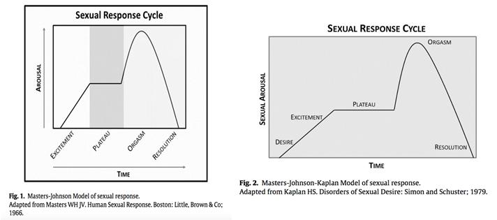 Models of female sexual response Model of female sexual response desire arousal What about sexual health matters?