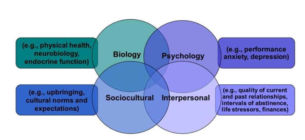 Biopsychosocial model