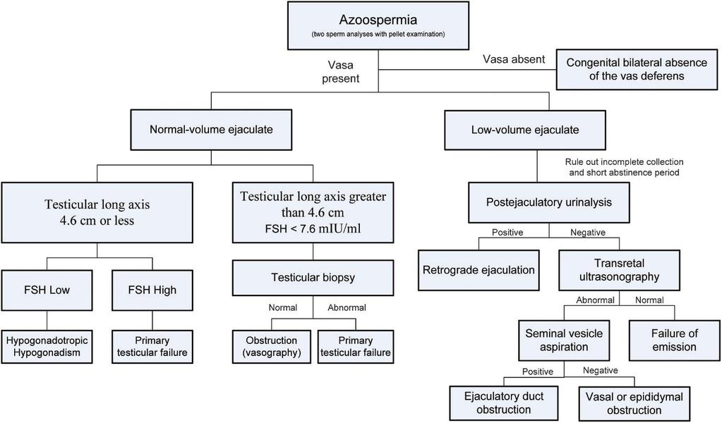 Figure 1 - Algorithm for the evaluation of patients with azoospermia.