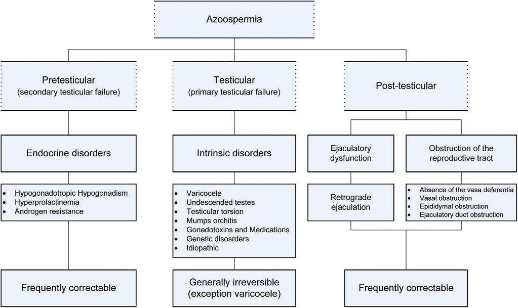 Figure 2 - Etiologies, mechanisms and prognoses of azoospermia. The clinical presentation of Kallmann s syndrome depends on the degree of hypogonadism.