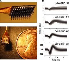 Silicon Array Electrodes Population vectors can be