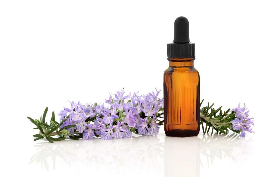 2 Table of Contents A History of Fragrance What is an Essential Oil? What is the Role of Essential Oils in Plants? Essential Oils: Organic vs.