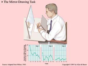 Mirror Drawing trace a shape with a pencil through a reflection in a mirror Result: HM initially made many errors (similar to normal subjects) but improved each day HM had no memory of the task or
