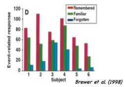 least active for photographs that were later forgotten The brain does not capture all incoming information equally Info must be attended to to be encoded and later recalled Source: Brewer et al, 1998
