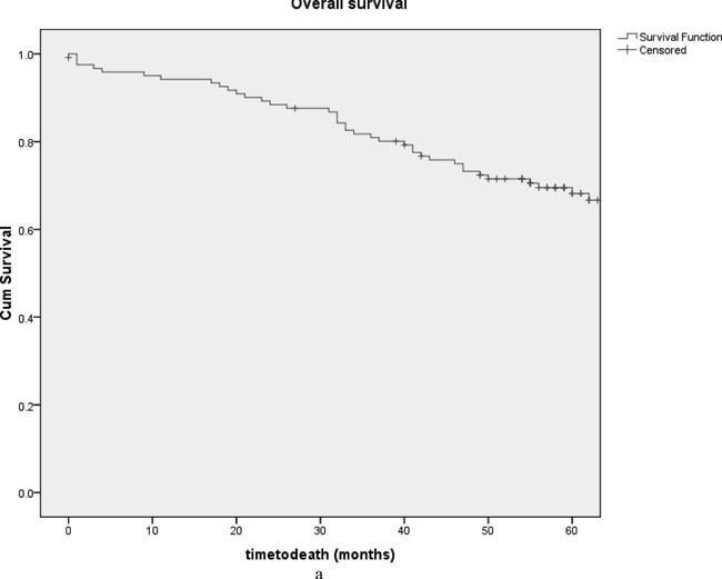 Good prognosis rectal cancer managed by surgery alone (no RT) - MERCURY Disease free survival Overall survival T3 <5mm