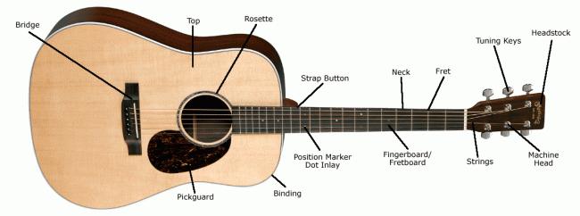 This question is about sound 2. This question is about an acoustic guitar. There are six strings which have different thicknesses. a. Which string produces the lowest note that we hear: the thickest or the thinnest?