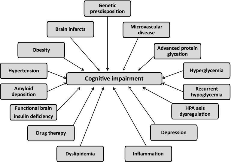 Potential causes of cognitive