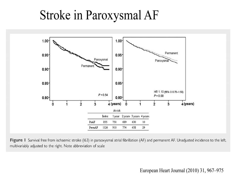 Stroke in Paroxysmal AF Nieuwlaat et al. Eur Heart J. 2008;29(7):915-922.