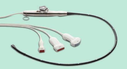 Working for you CX50 POC transducers C5-1 S5-1 X7-2t L12-3 Education Philips offers a wide array of clinical and technical education resources.