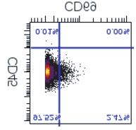 0% CD206 expression CD28 expression CD206 CD206 CD206 CD206 CD28 CD28 CD8 T cells: TCRβ +, CD8+