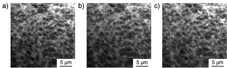 TIRF images of a planar lipid bilayer consisting of DOPC/SM. Images were acquired at (a), (b) 1 and (c) 6 minutes after the addition of curcumin.