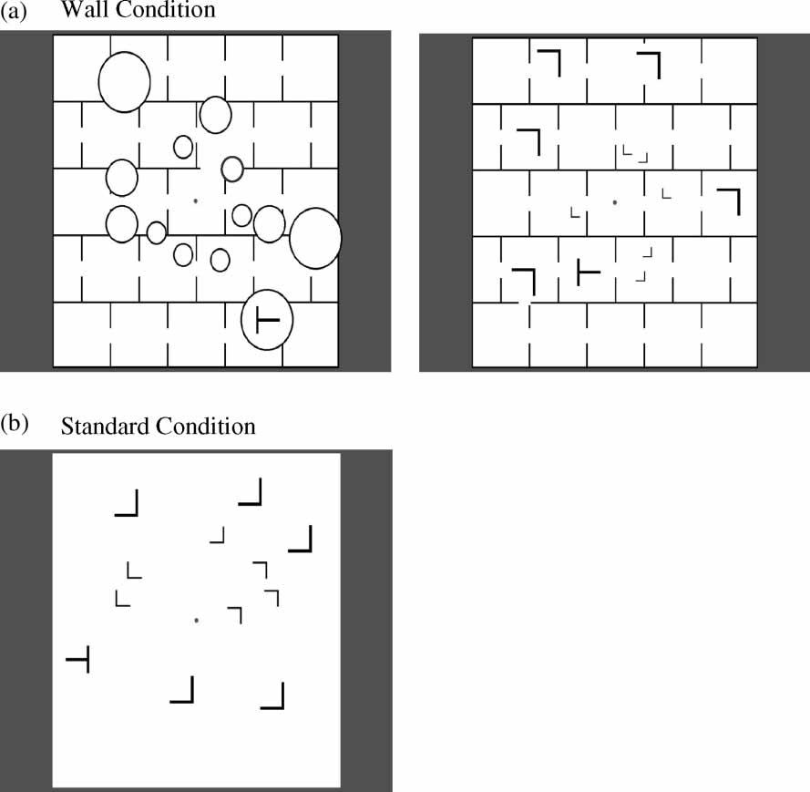 810 KUNAR, FLUSBERG, WOLFE Figure 1. Example displays for Experiment 1 in (a) the wall condition (set sizes 1 and 12), and (b) the standard contextual cueing condition (set size 12).