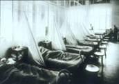 1918 Pandemic Influenza Morbidity and Mortality United States 25 million infected 500,000 died England & Wales 200,000 died Worldwide 500 million stricken mortality low: 20
