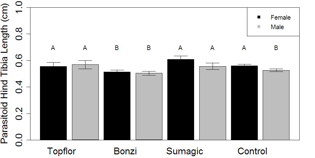 Figure 3. Total number of parasitoids that emerged from mummies removed from pepper plants that were untreated or treated with PGRs. Bars with different letters are significantly different at the P=0.
