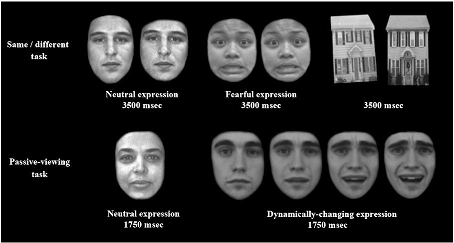 M.N. Coutanche et al. / NeuroImage 57 (2011) 113 123 115 Fig. 1. Examples of stimuli with associated presentation times. Two of the analyzed runs featured face stimuli in a same vs.
