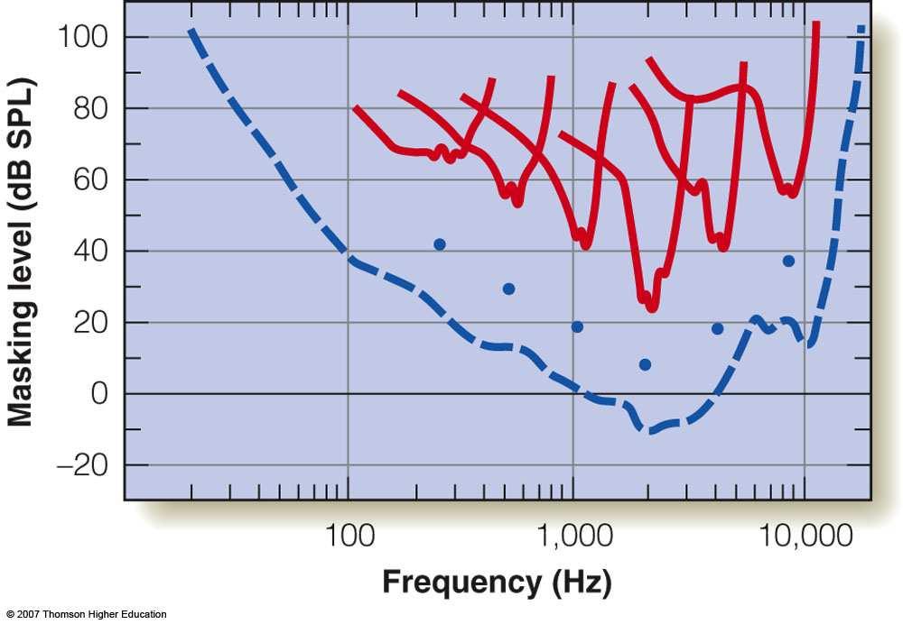 Psychophysical Tuning Curves Resulting tuning curves show that the test tone is affected by a narrow range of masking tones Psychophysical