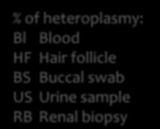 Renal manifestations can be isolated % of heteroplasmy: Bl Blood HF Hair follicle BS Buccal swab US Urine sample RB Renal biopsy Died at 50yrs of cancer Renal problems A3243G MELAS mutation Died at