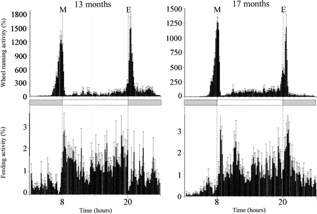 Fig. 3. Representative actograms (left) and mean waveforms ( SE; n 10) of WR activity (top) and feeding activity (FA; bottom) during exposure to constant darkness. x-axis: circadian time.
