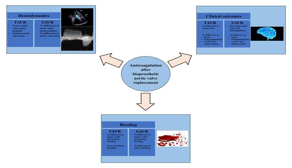 Impact of OAC on Bioprosthetic Valve Hemodynamics and Clinical